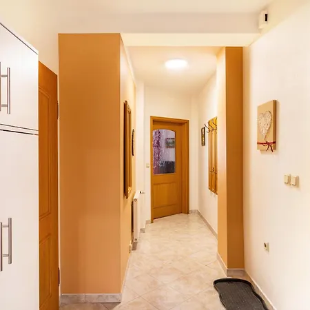 Zum Weissen Ross Apartment *
