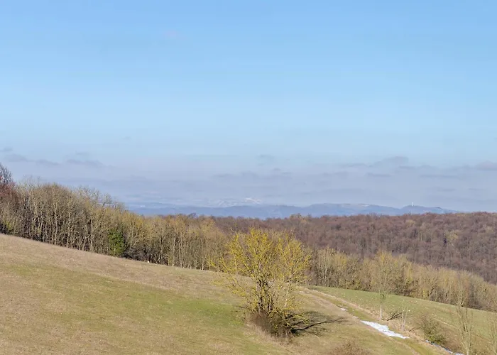 Zum Weißen Roß Apartment *