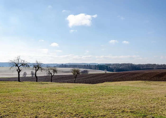 Apartment Zum Weißen Roß *